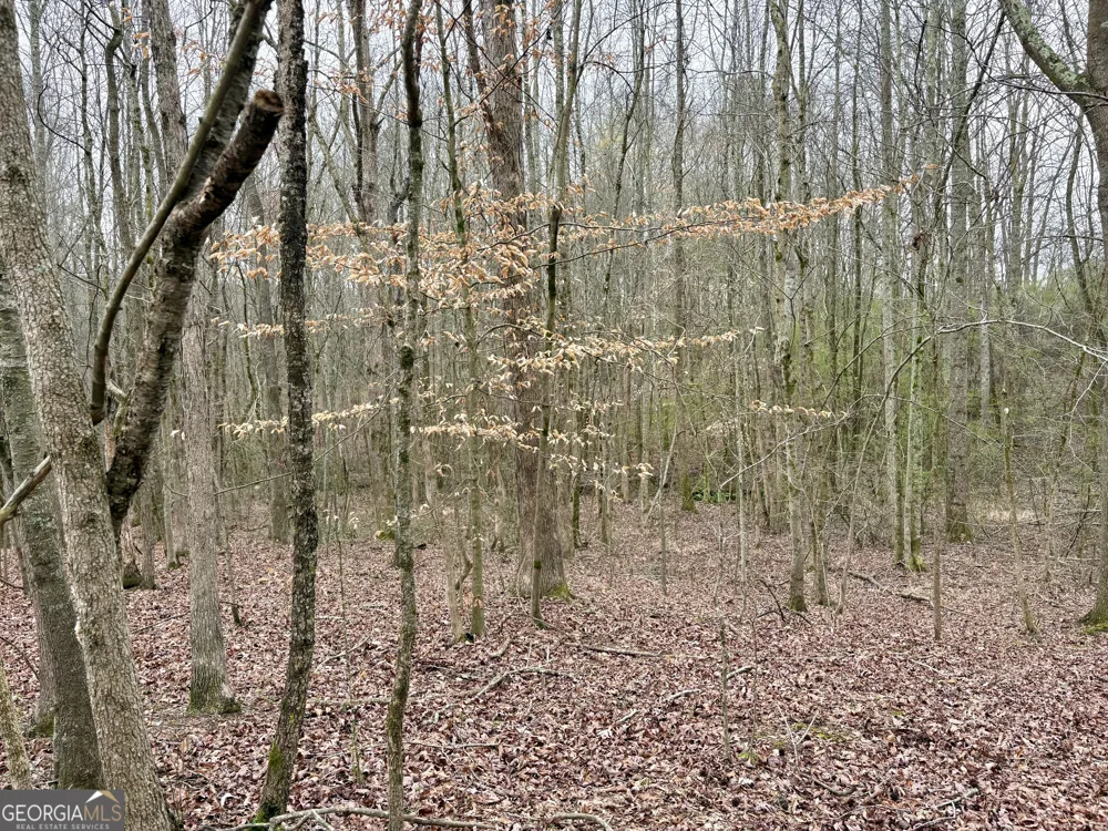 0 county road 670 Ranburne, AL 36273