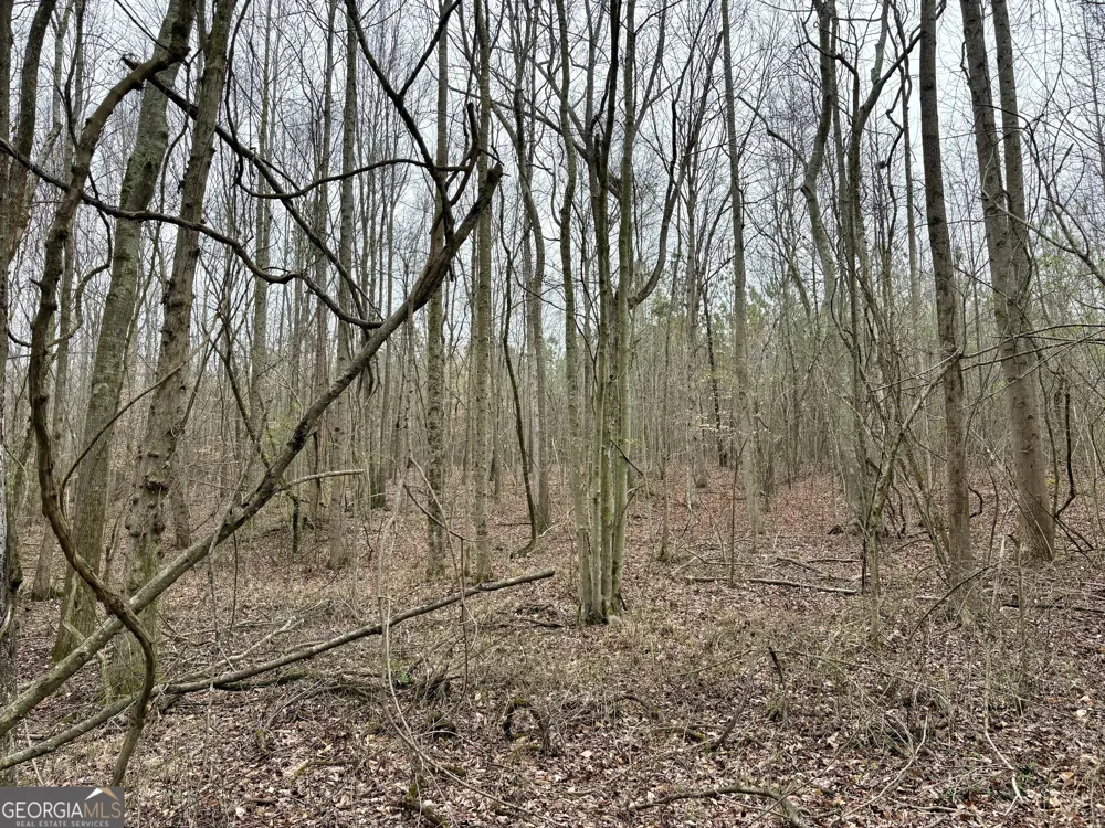 0 county road 670 Ranburne, AL 36273