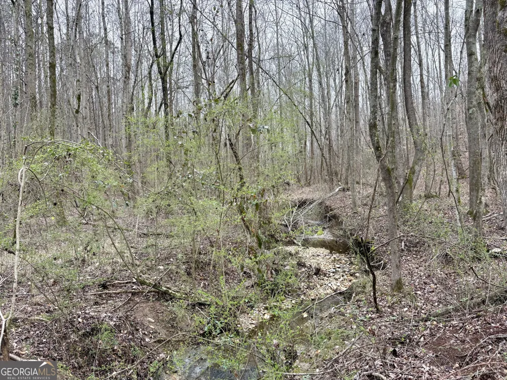 0 county road 670 Ranburne, AL 36273