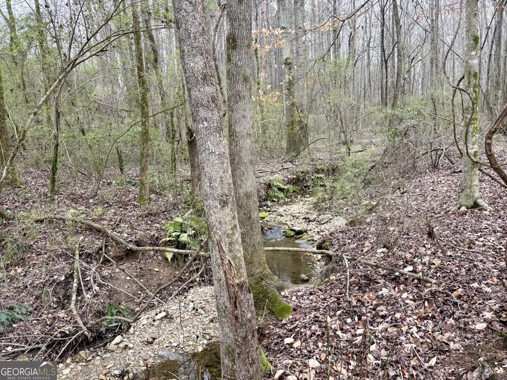 0 county road 670 Ranburne, AL 36273