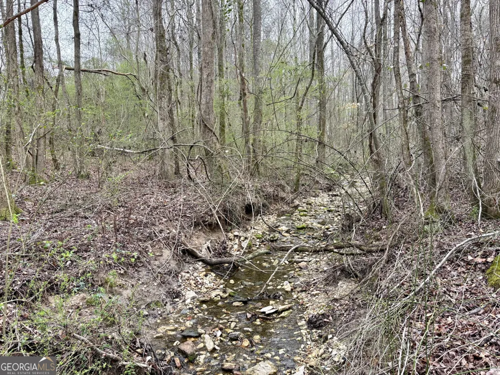 0 county road 670 Ranburne, AL 36273