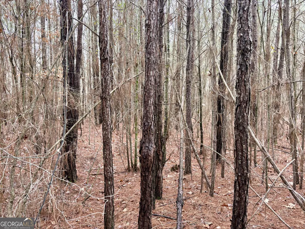 0 county road 670 Ranburne, AL 36273