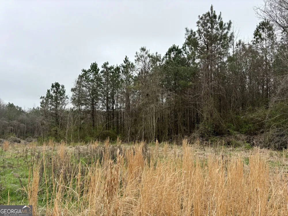 0 county road 670 Ranburne, AL 36273