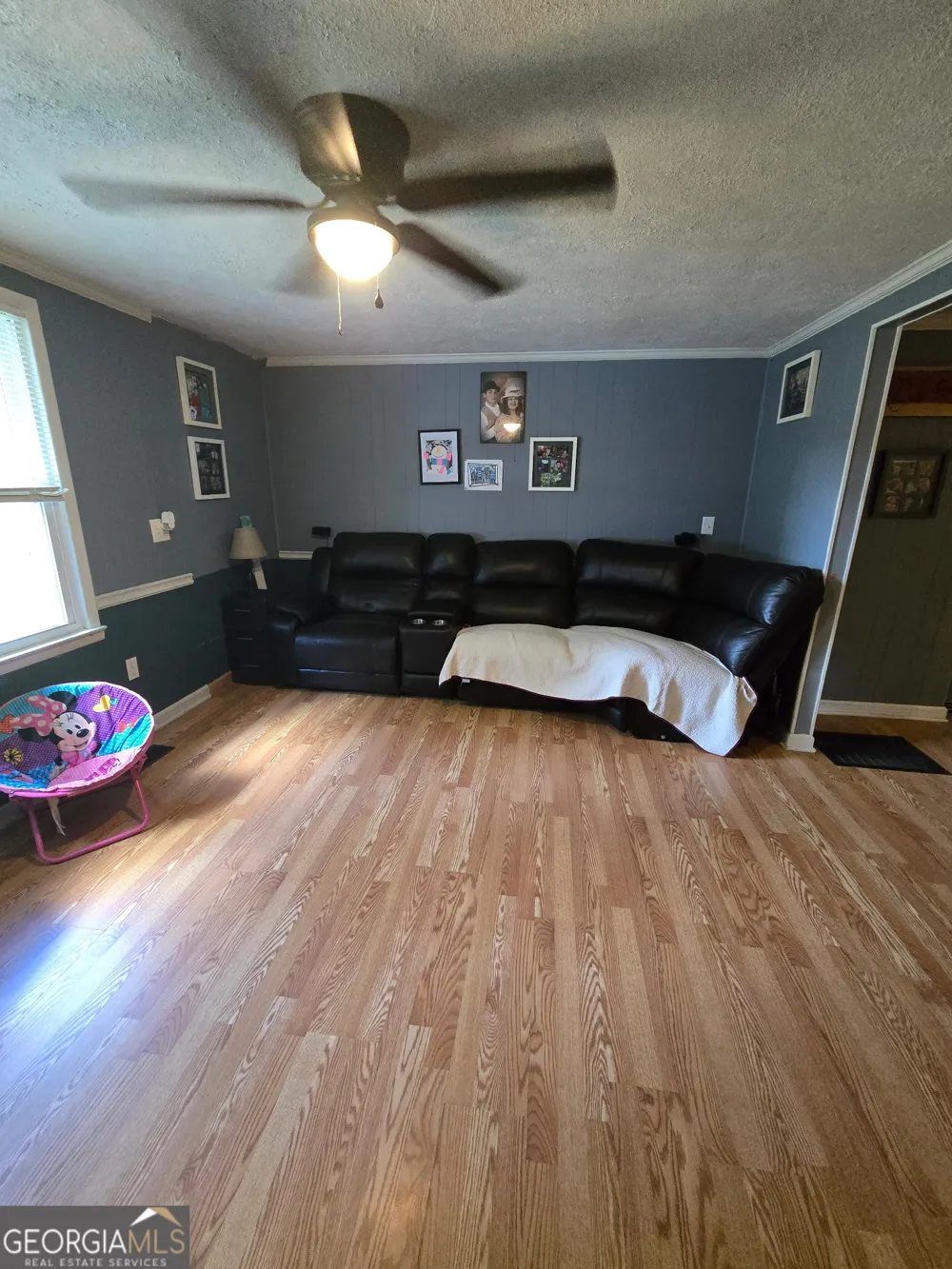 384 Enon Grove RD Franklin, GA 30217