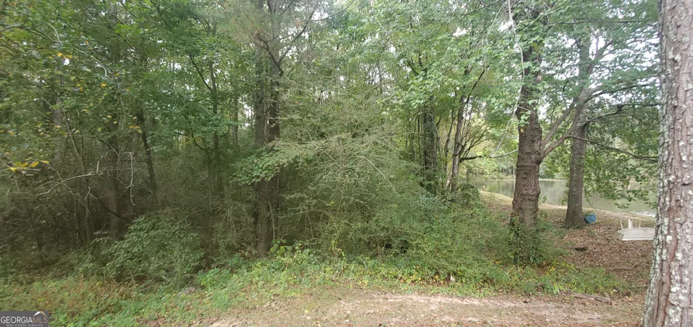 384 Enon Grove RD Franklin, GA 30217