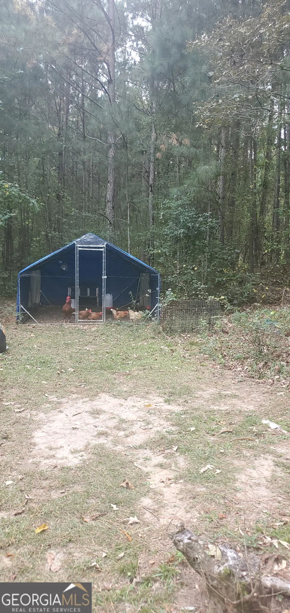 384 Enon Grove RD Franklin, GA 30217