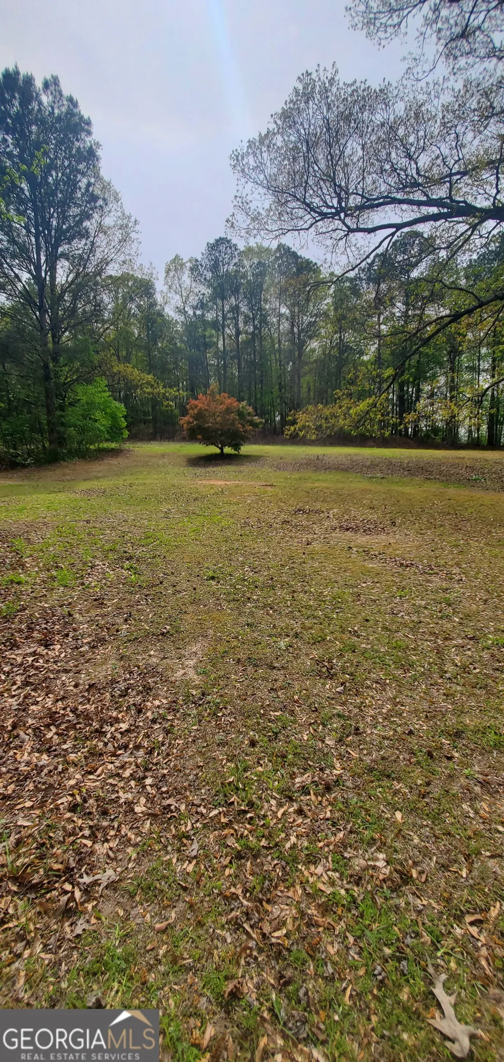 384 Enon Grove RD Franklin, GA 30217