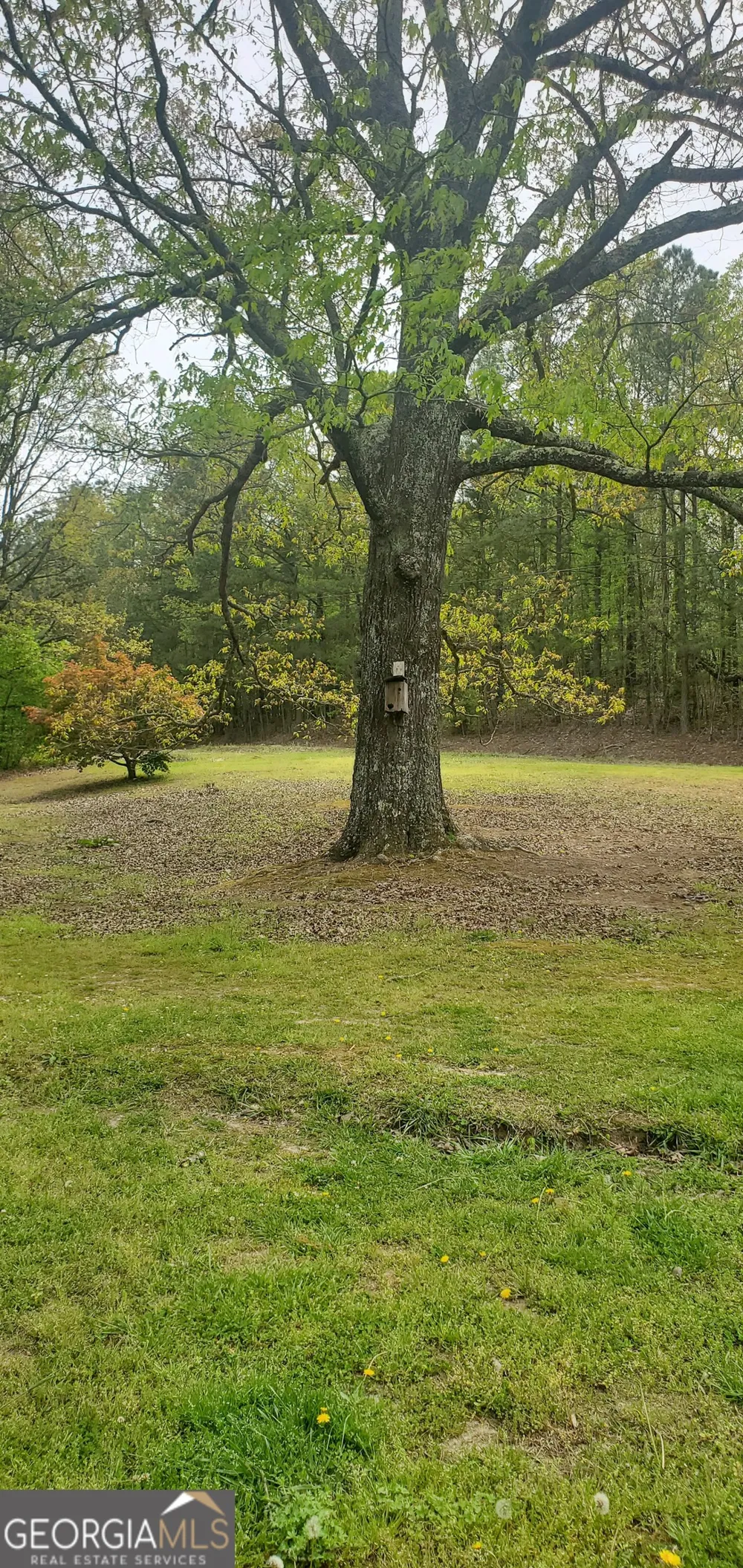 384 Enon Grove RD Franklin, GA 30217
