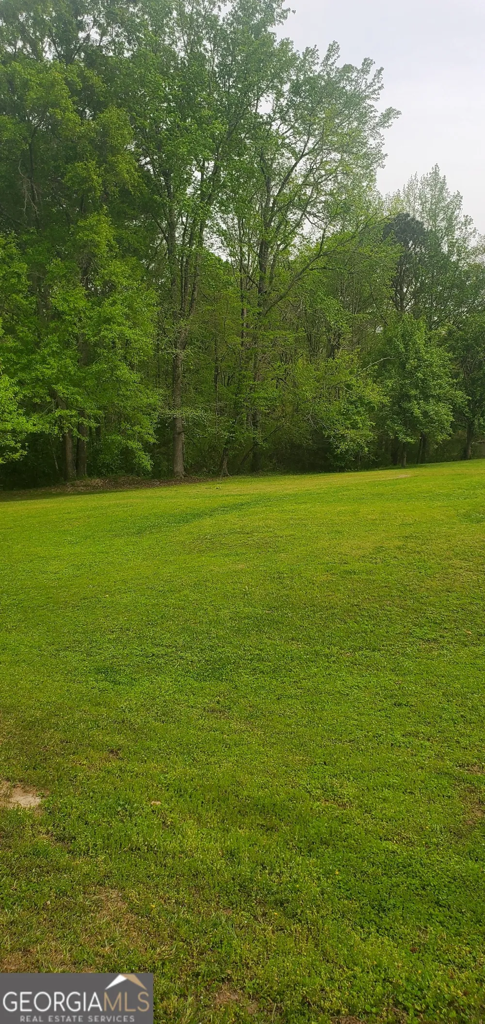 384 Enon Grove RD Franklin, GA 30217