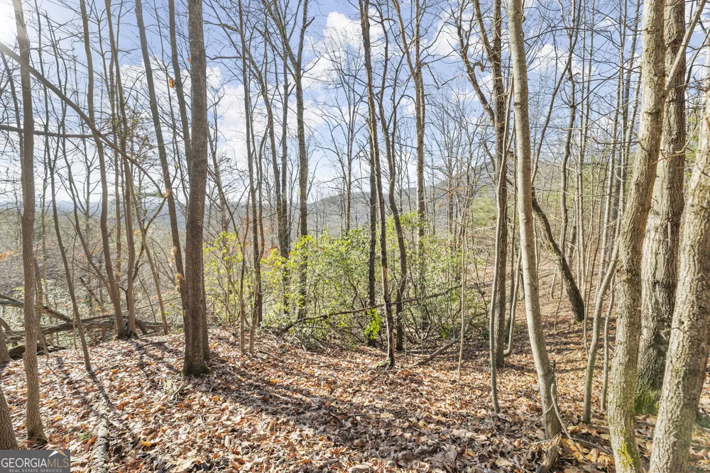 0 Starlight DR Sautee Nacoochee, GA 30571