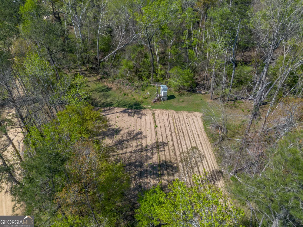 1102 Three Rivers LN Uvalda, GA 30473