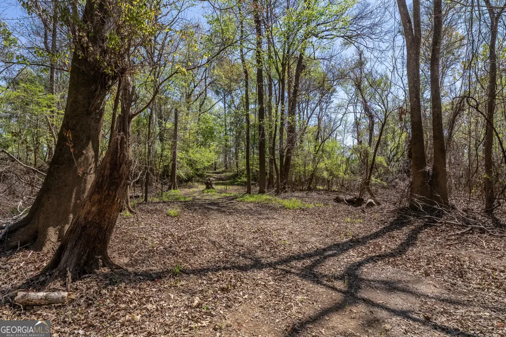 1102 Three Rivers LN Uvalda, GA 30473
