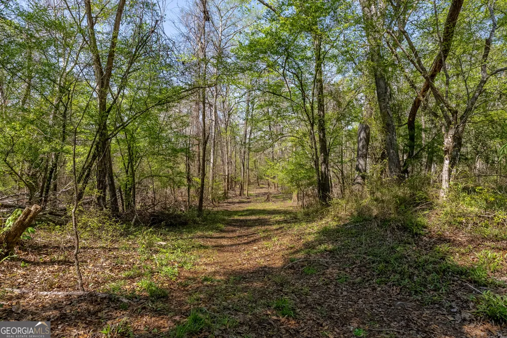1102 Three Rivers LN Uvalda, GA 30473