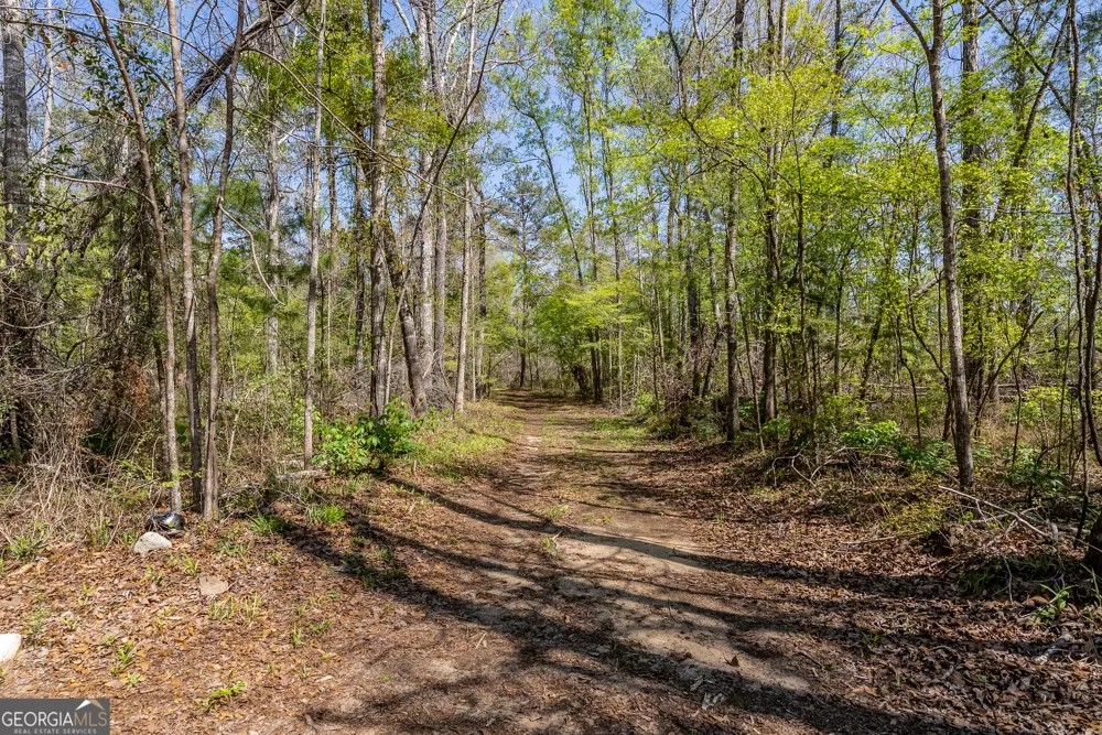 1102 Three Rivers LN Uvalda, GA 30473