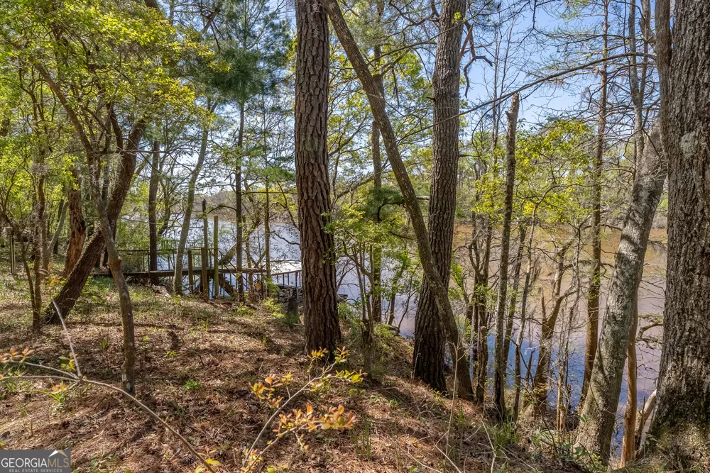 1102 Three Rivers LN Uvalda, GA 30473