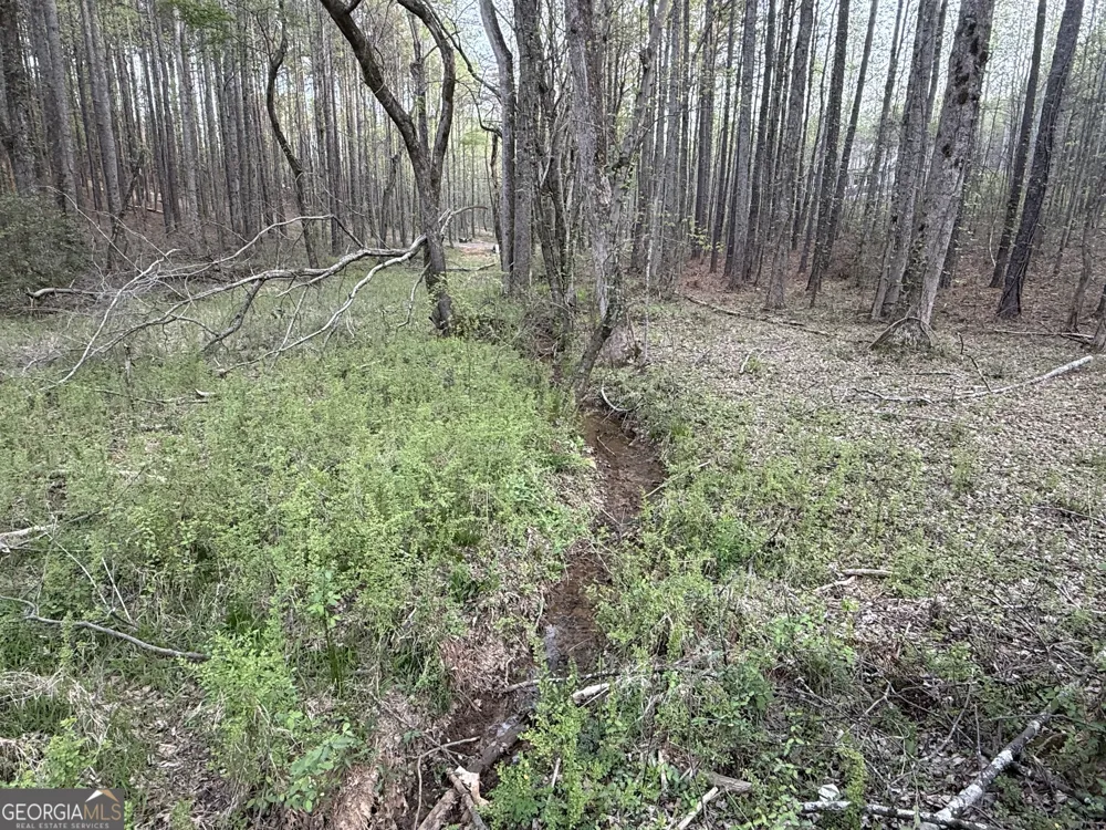 0 Henderson Mountain RD Fairmount, GA 30139