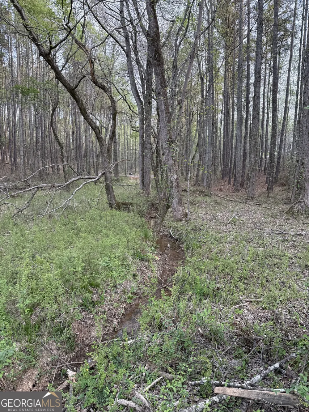 0 Henderson Mountain RD Fairmount, GA 30139