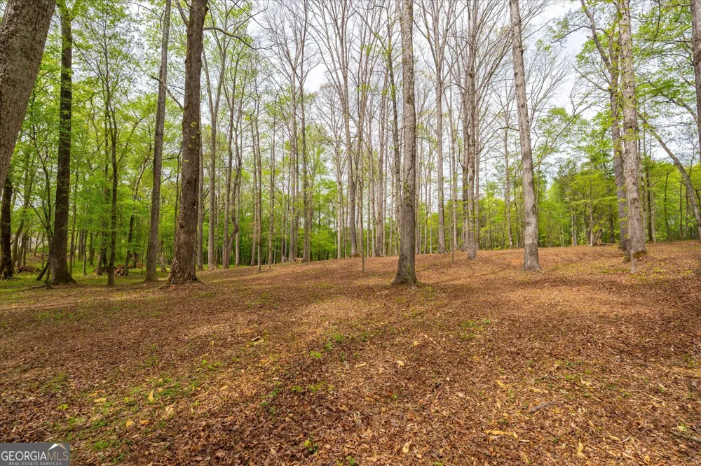 87 Wildwood DR Temple, GA 30179