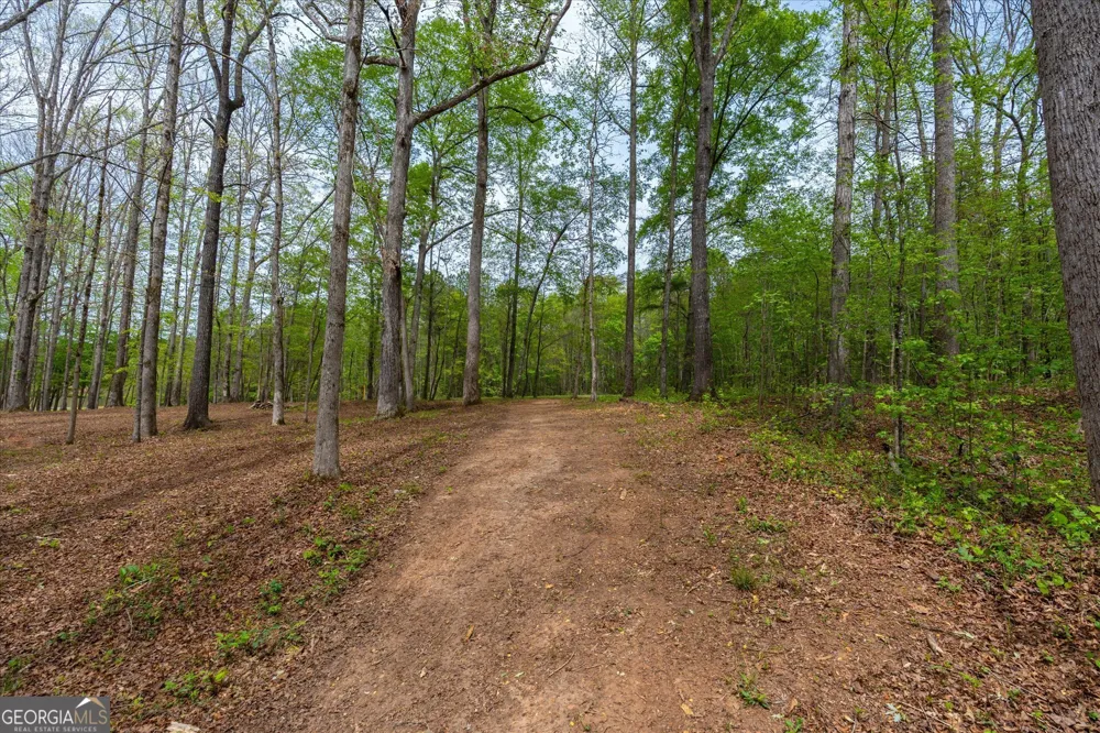 87 Wildwood DR Temple, GA 30179