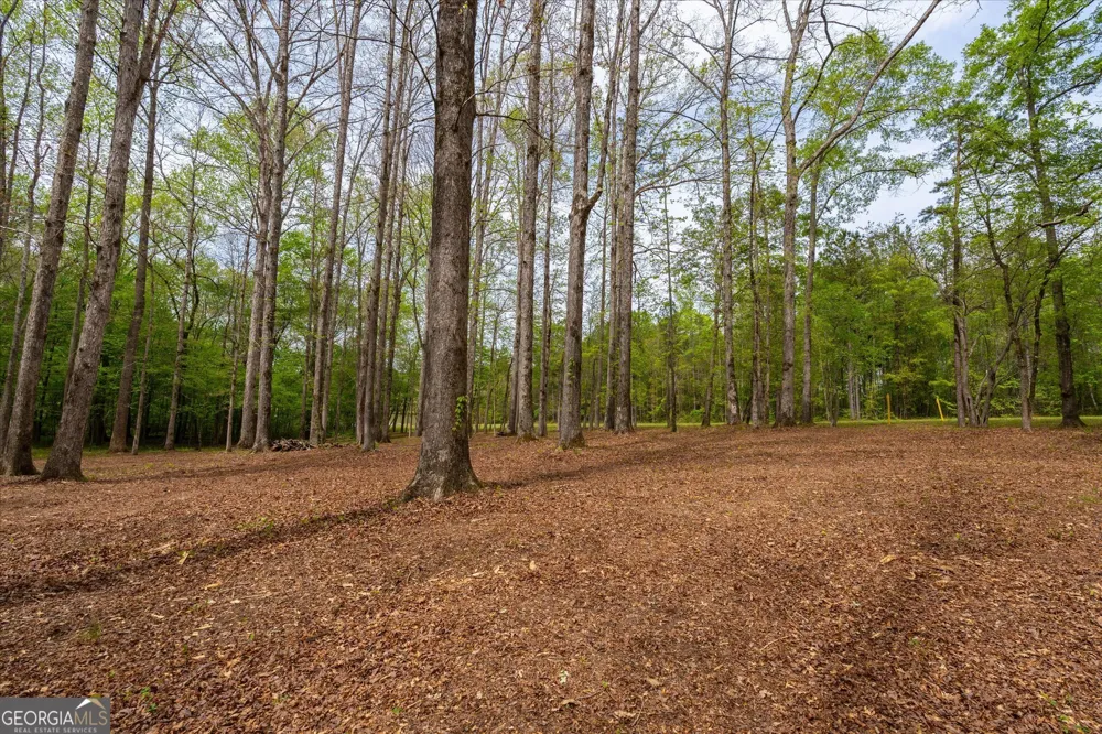 87 Wildwood DR Temple, GA 30179