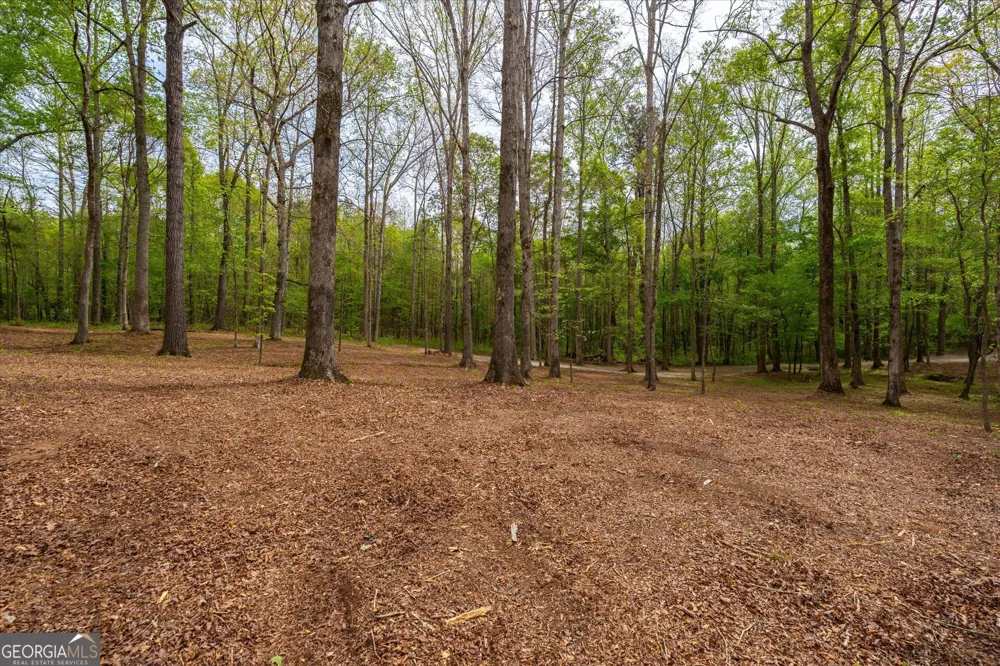 87 Wildwood DR Temple, GA 30179