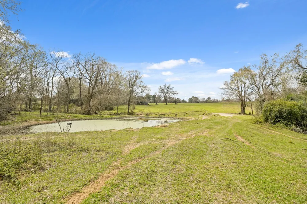 West Navasota, TX 77868