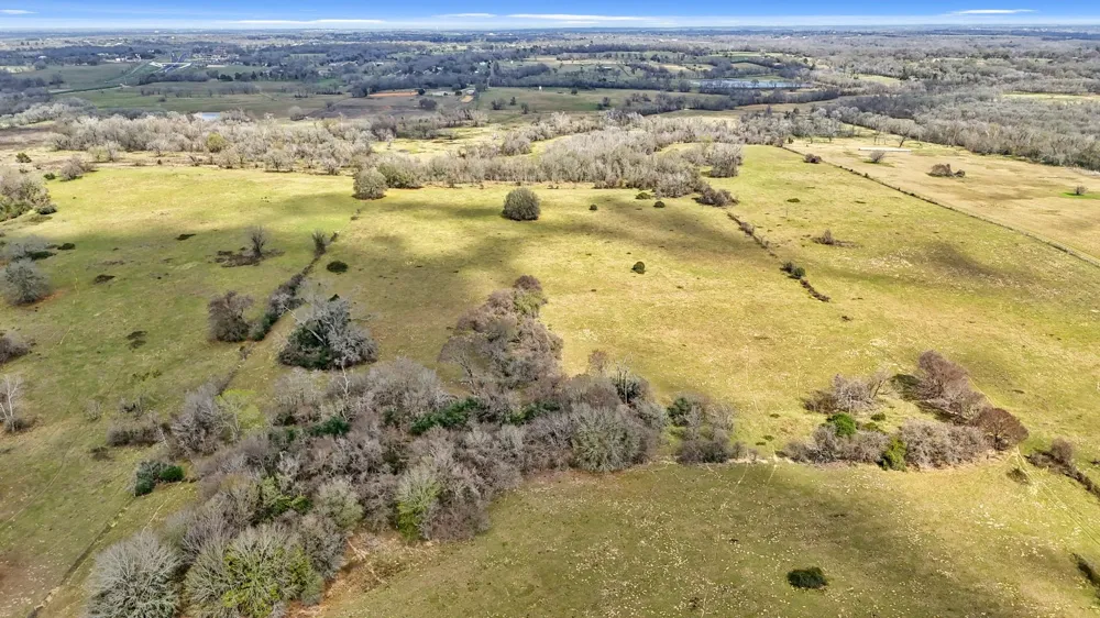 West Navasota, TX 77868