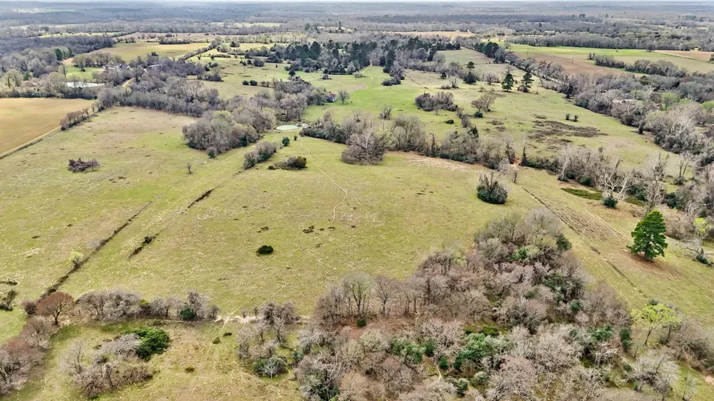 West Navasota, TX 77868
