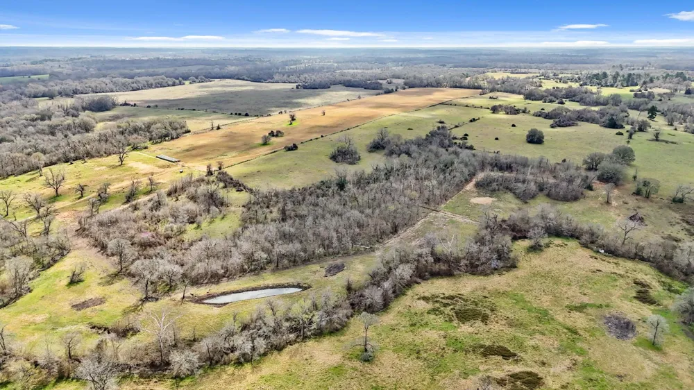 West Navasota, TX 77868