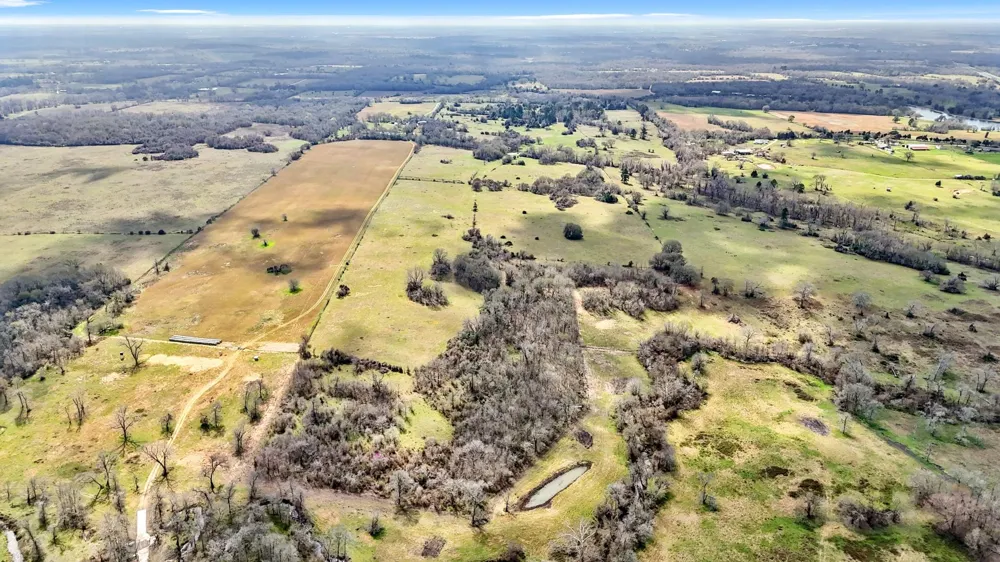 West Navasota, TX 77868
