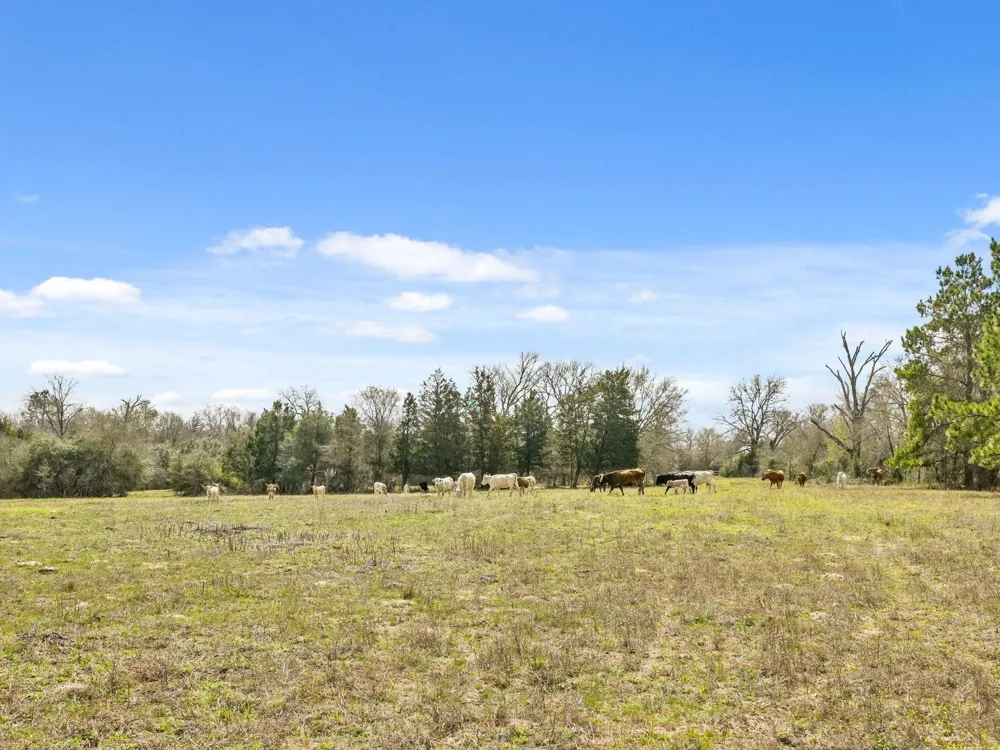 West Navasota, TX 77868