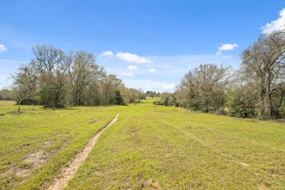 West Navasota, TX 77868