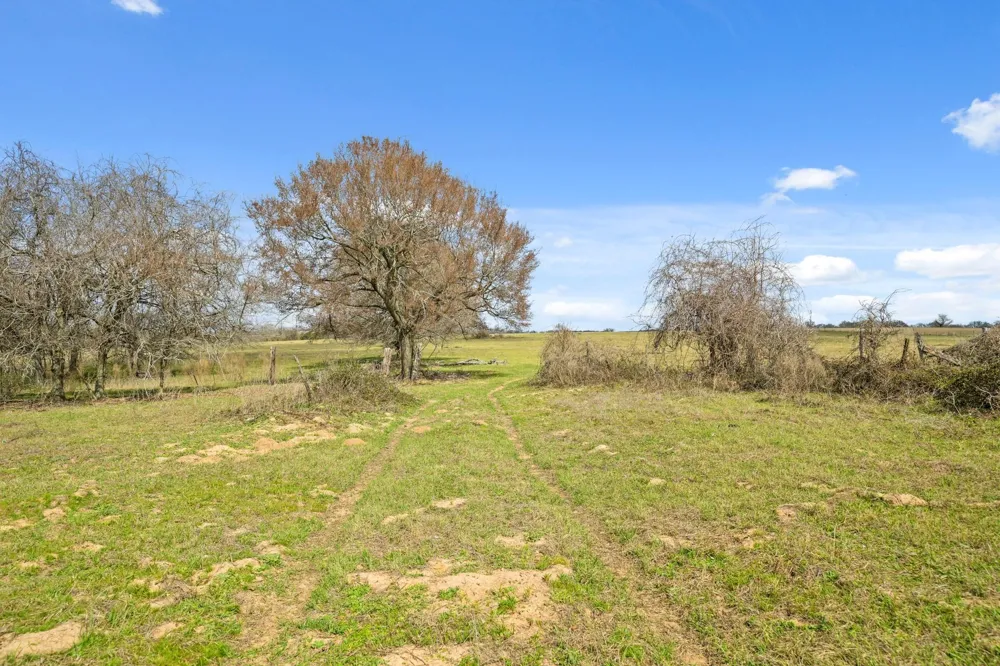 West Navasota, TX 77868