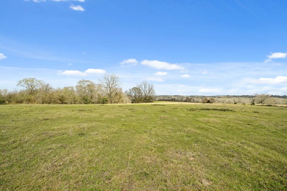 West Navasota, TX 77868