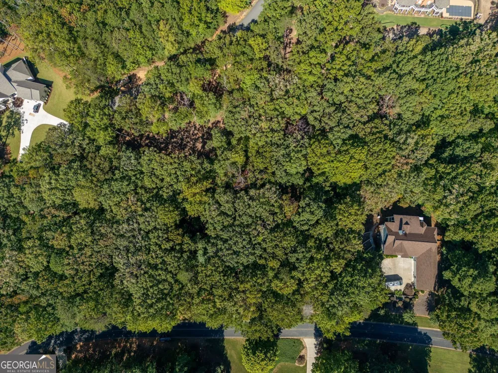 0 Plum LN Clarkesville, GA 30523