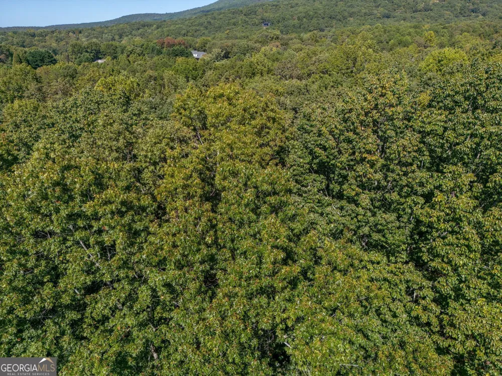 0 Plum LN Clarkesville, GA 30523