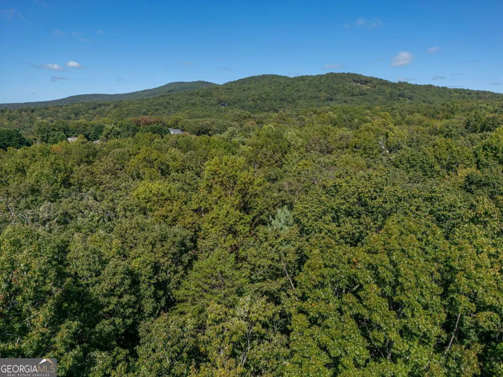 0 Plum LN Clarkesville, GA 30523