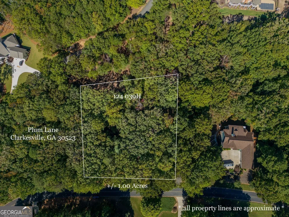 0 Plum LN Clarkesville, GA 30523