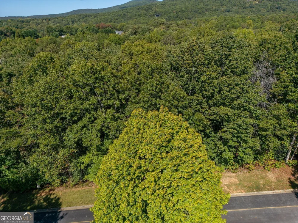 0 Plum LN Clarkesville, GA 30523