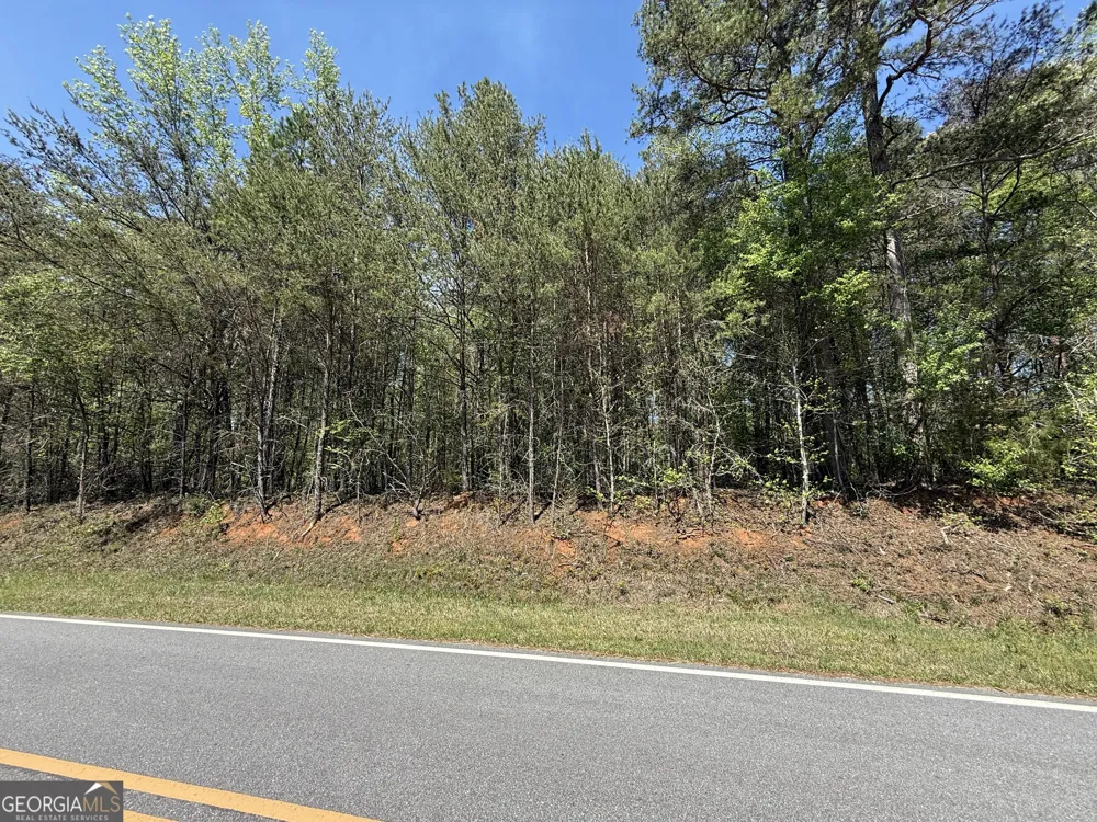 0 Panhandler Circle (2B) Maysville, GA 30558