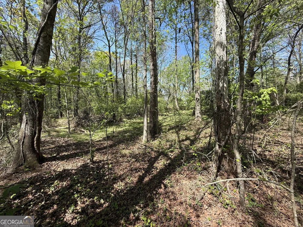 0 Panhandler Circle (2B) Maysville, GA 30558