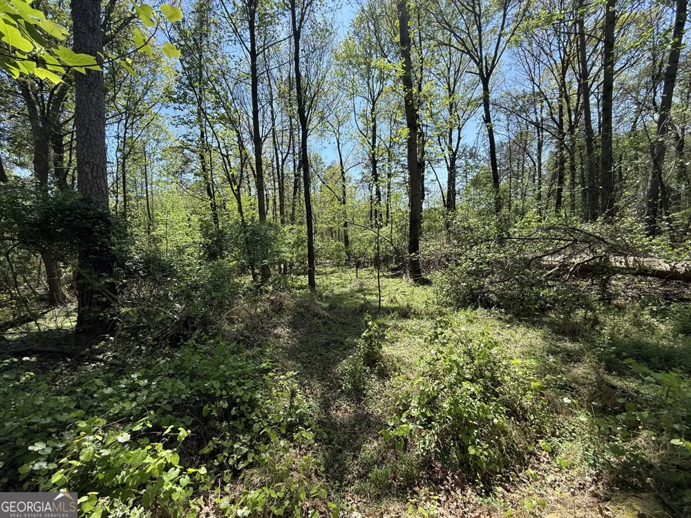 0 Panhandler Circle (2B) Maysville, GA 30558