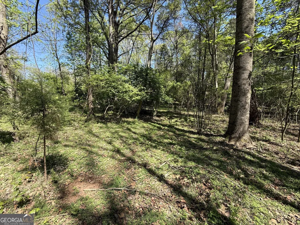 0 Panhandler Circle (2B) Maysville, GA 30558