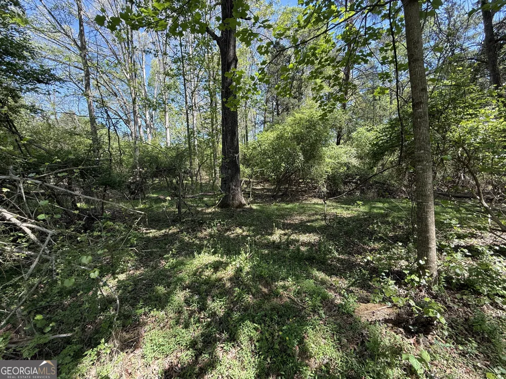 0 Panhandler Circle (2B) Maysville, GA 30558