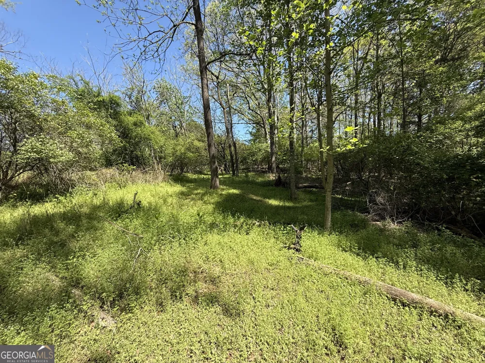 0 Panhandler Circle (2B) Maysville, GA 30558