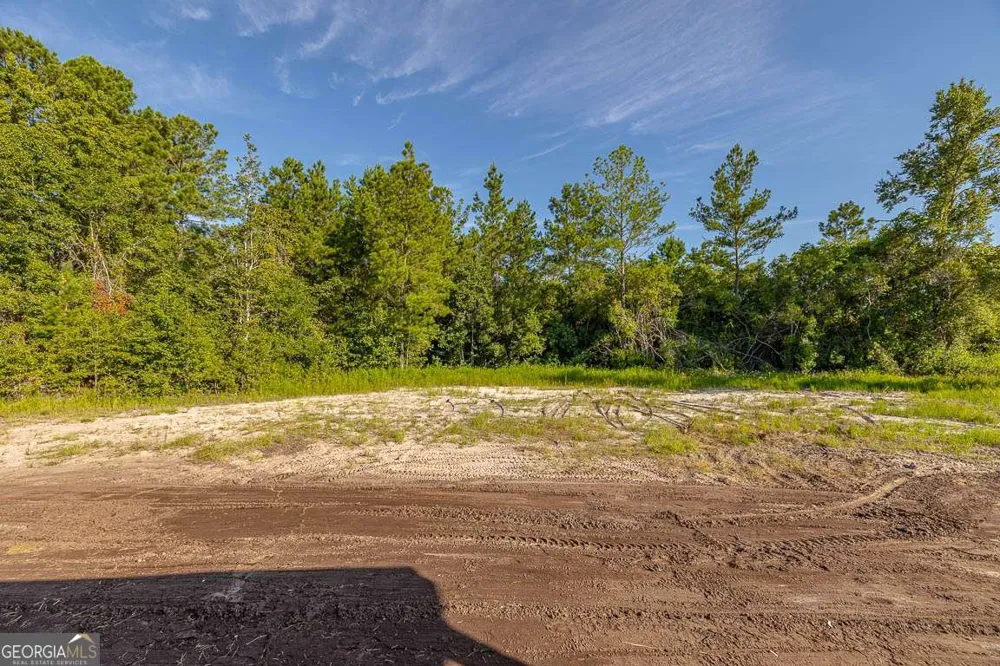 254 Satilla Sands DR Waynesville, GA 31566