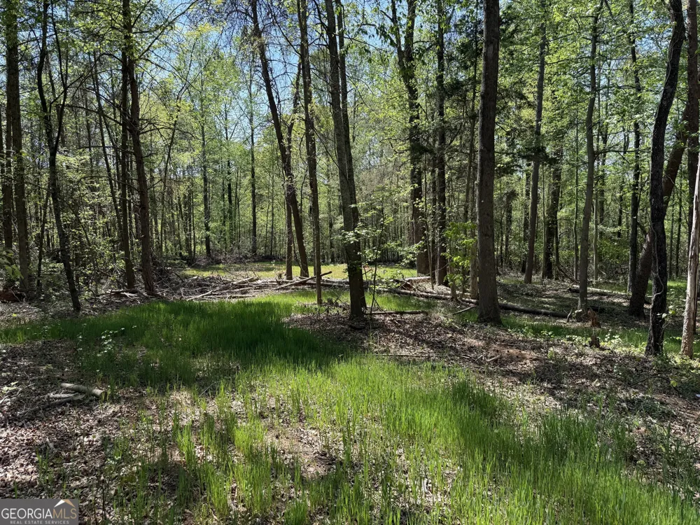 0 Panhandler Circle (2C) Maysville, GA 30558