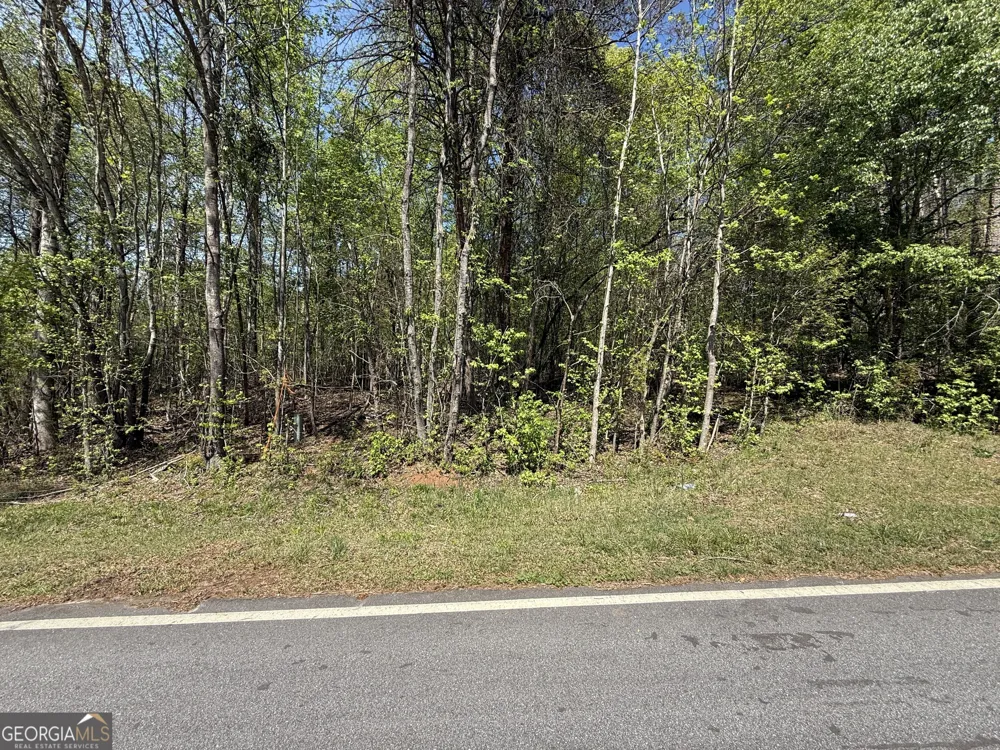 0 Panhandler Circle (2C) Maysville, GA 30558