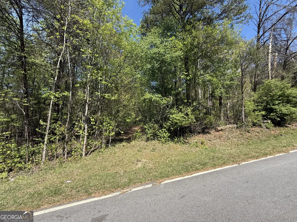 0 Panhandler Circle (2C) Maysville, GA 30558