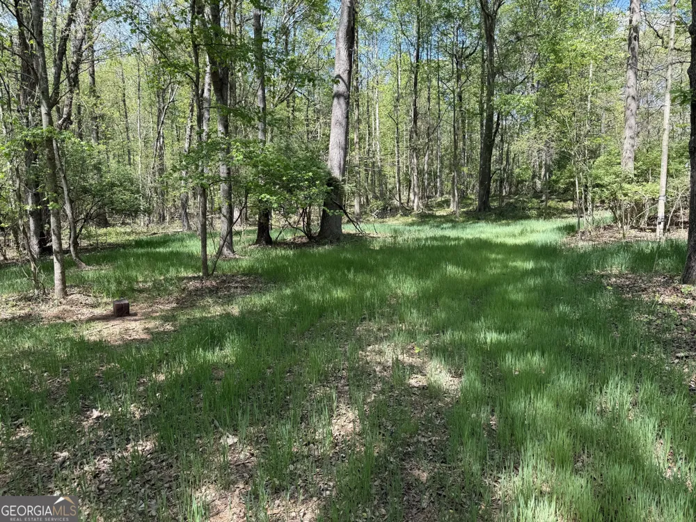 0 Panhandler Circle (2C) Maysville, GA 30558